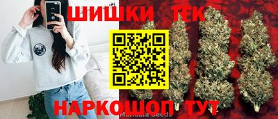амф Новозыбков